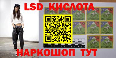 СК Заводоуковск